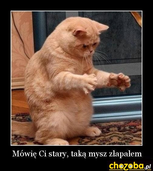 Taaka... 