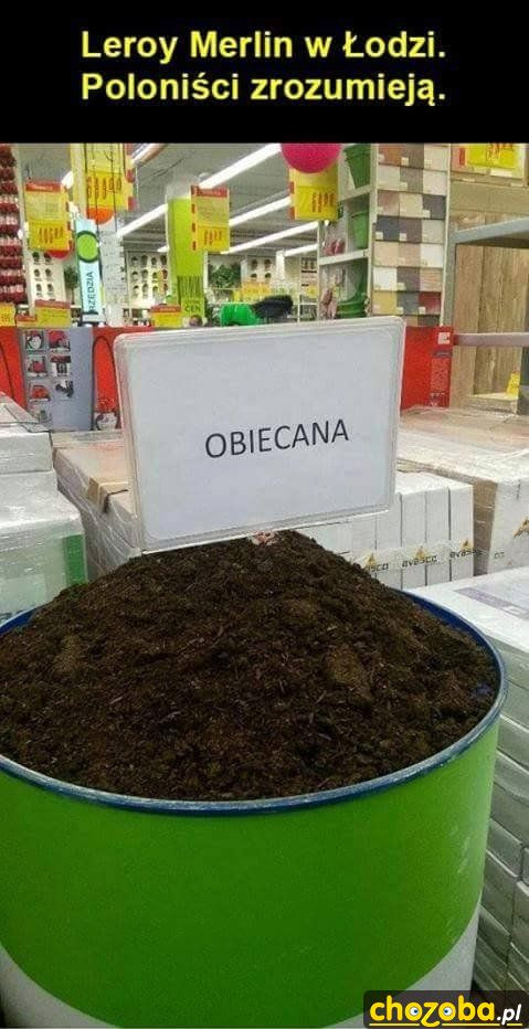 Polonista opisywał towar