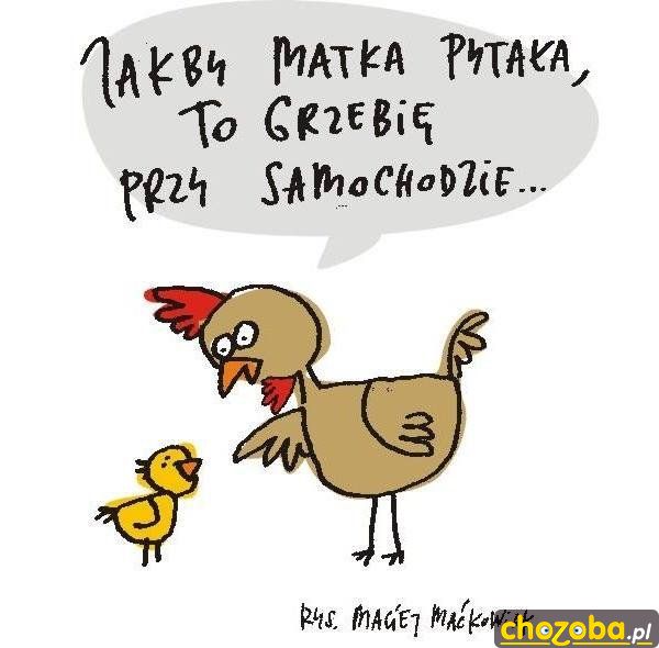 grzebanie przy samochodzie