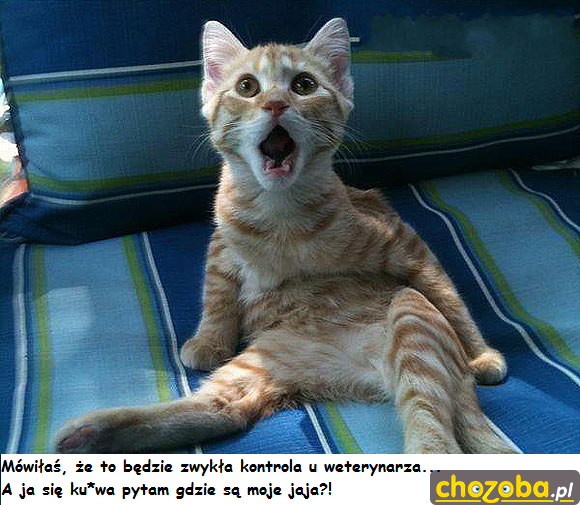Kontrola...