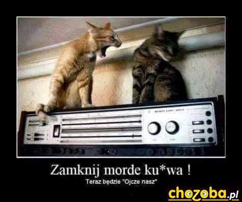 Zamknij mordę...