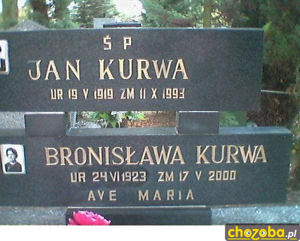 AVE KURWA