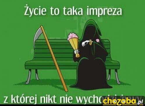 Impreza której nie przeżył nikt.