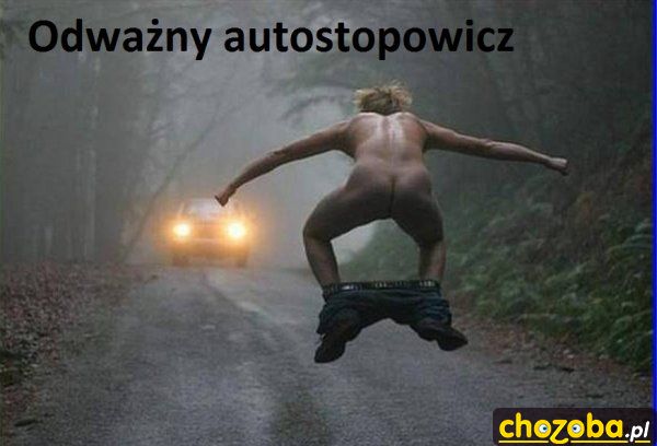 Autostopowicz