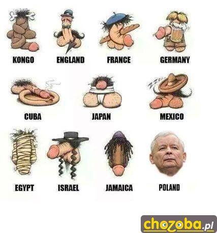 Każdy kutas inny, polski już jedyny taki