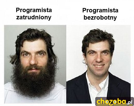 Programista