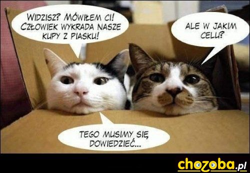Śmierdząca zagadka