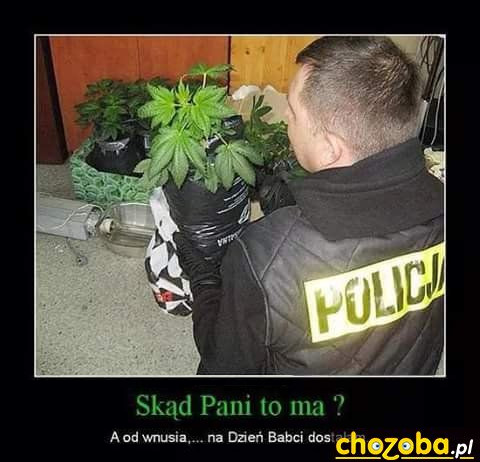 Dzień Babci...