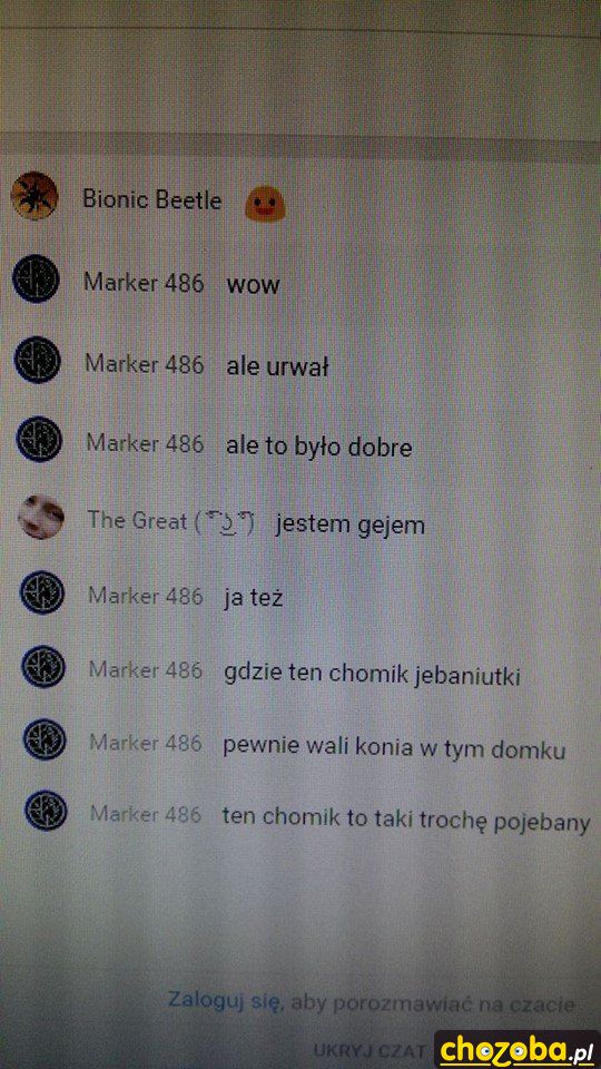 Tymczasem na czacie na kanale z naszym chomikiem