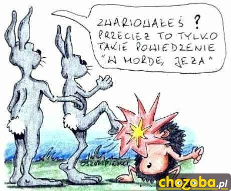 W mordę jeża 