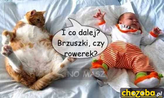 Co dalej