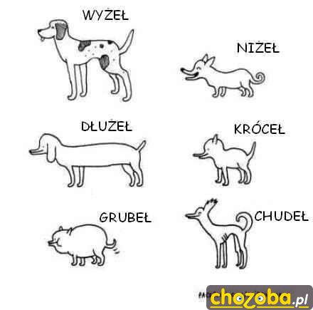 Rasy psów 