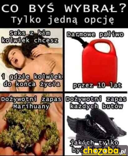 Co byś wybrał ?