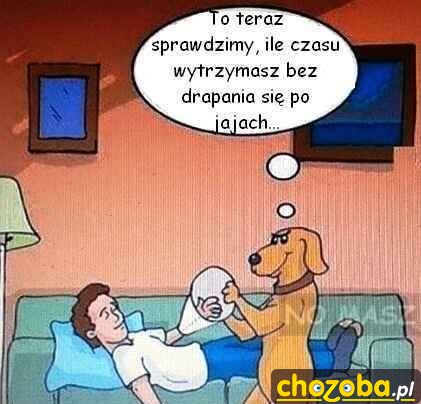 bez drapania po jajach