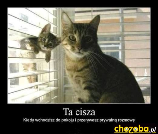 Ta cisza
