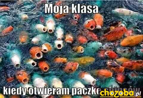 Gdy Opos otwiera chipsy
