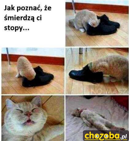 Ćpun