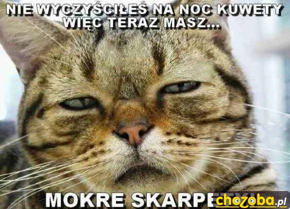 Mokre skarpety