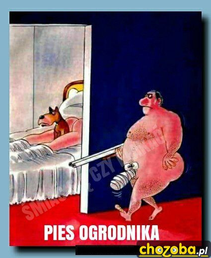 Pies ogrodnika