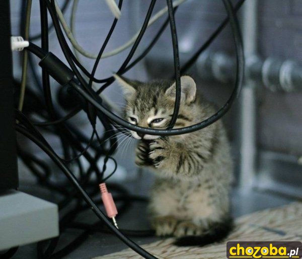 I nie będzie internetu