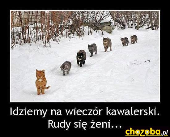 Rudy się żeni