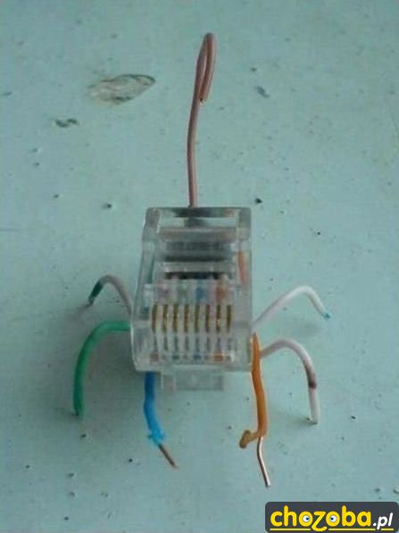 Skorpion RJ45