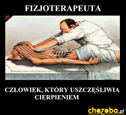 Fizjoterapeuta 