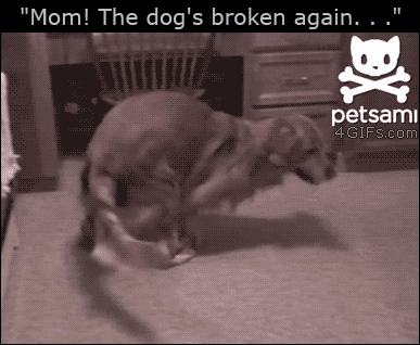 Psi breakdance