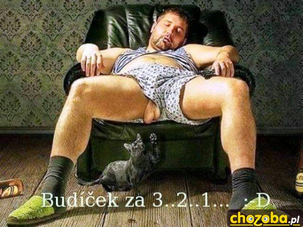 Pobudka za 1...2...3...