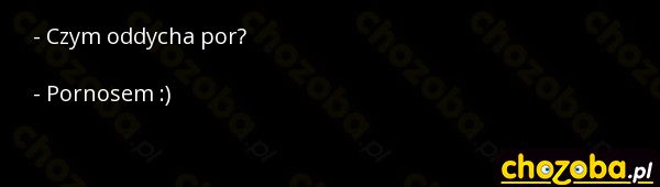 Czym oddycha por?