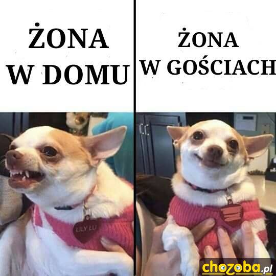 Żona