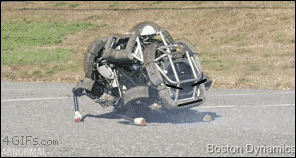 Robot