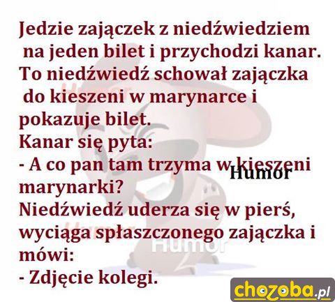 Zdjęcie kolegi