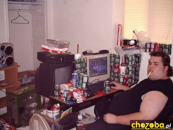 Like a boss