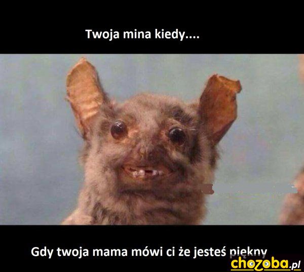Twoja mina gdy...