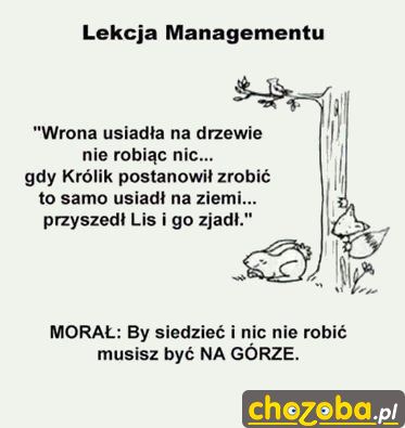 Lekcja managementu