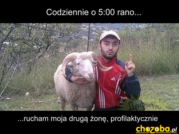 Codziennie rano