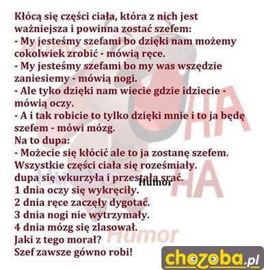 Kłócą się części ciała