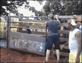 Ludzkie rodeo