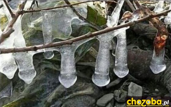 Chujowe sople