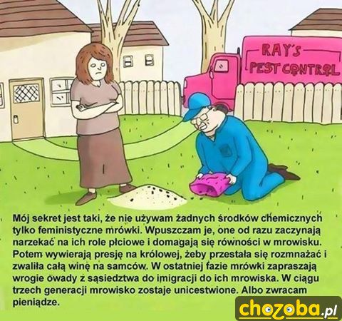 Feministyczne mrówki