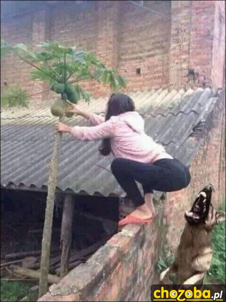 I dupy nie będzie