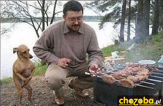 Spokojnie Pikuś zaraz będzie gotowe