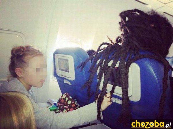 Predator w samolocie