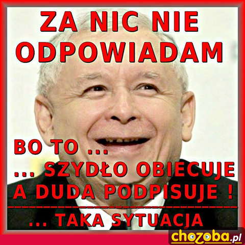 Za nic nie odpowiadam