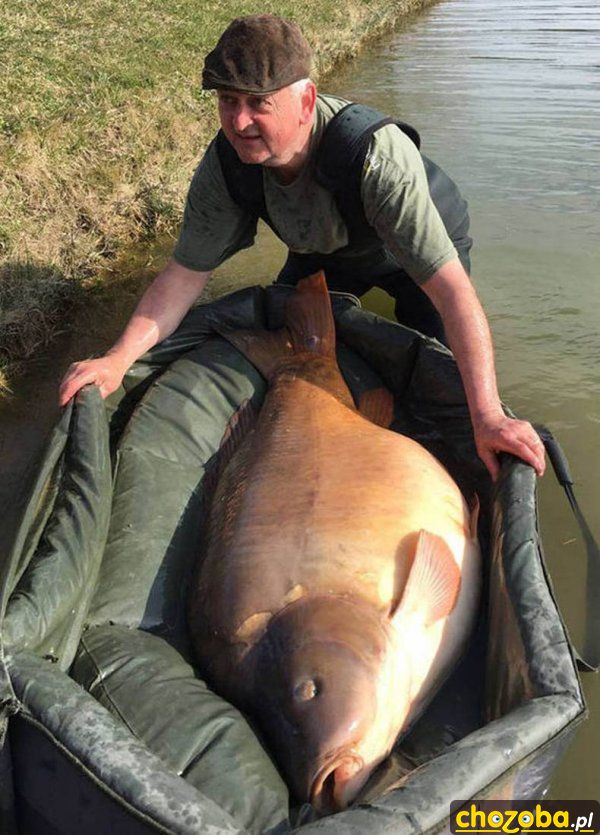 Big fish