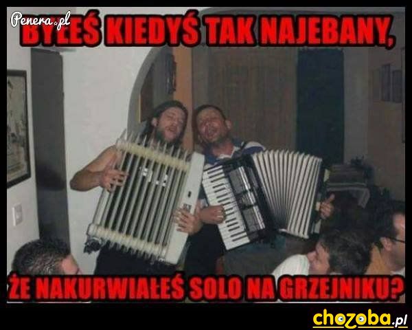 Solo na grzejniku