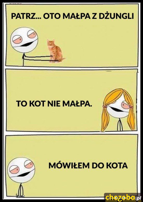 Małpa z dżungli