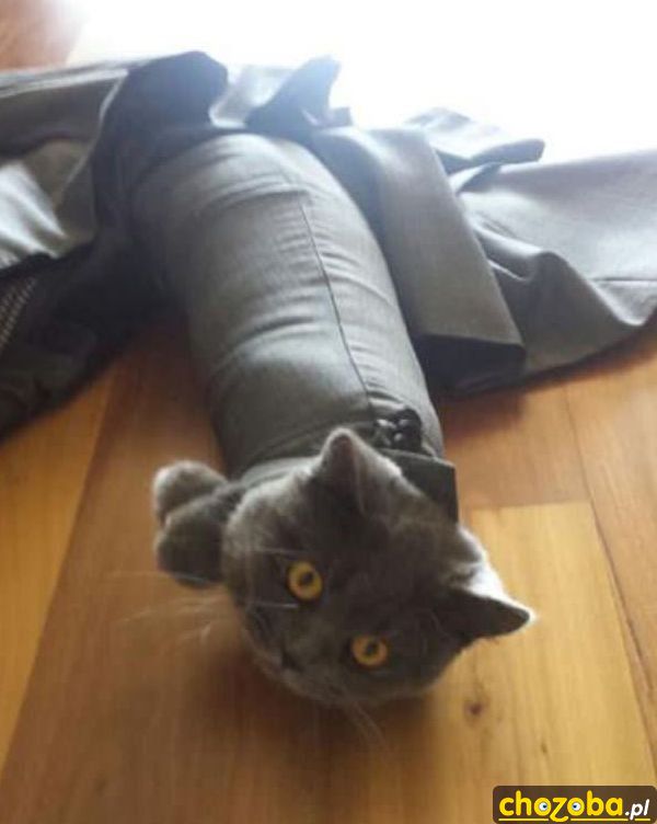 Lubię ten rękaw