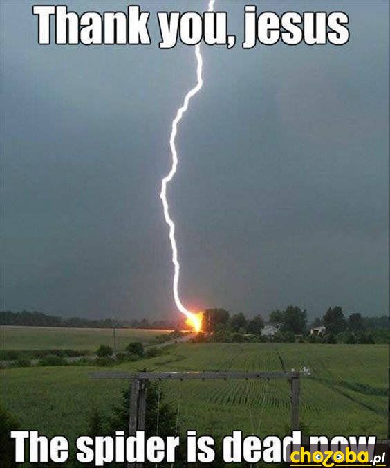 Dzięki Ci Jezu, pająk jest już martwy!
